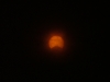 DSCF0571.JPG