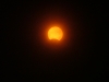 DSCF0586.JPG