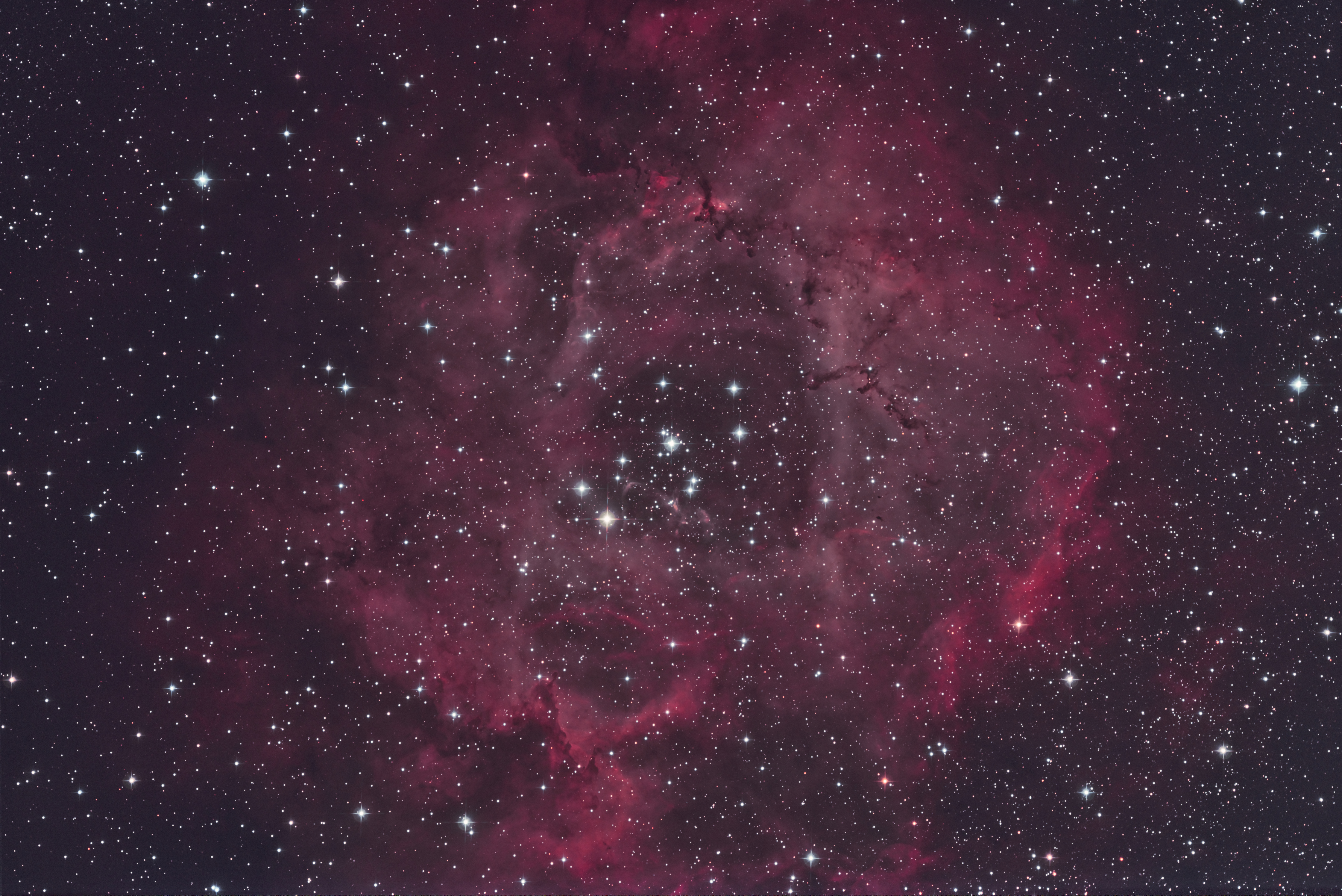 NGC 2237 - Photo de Jacky Francoise