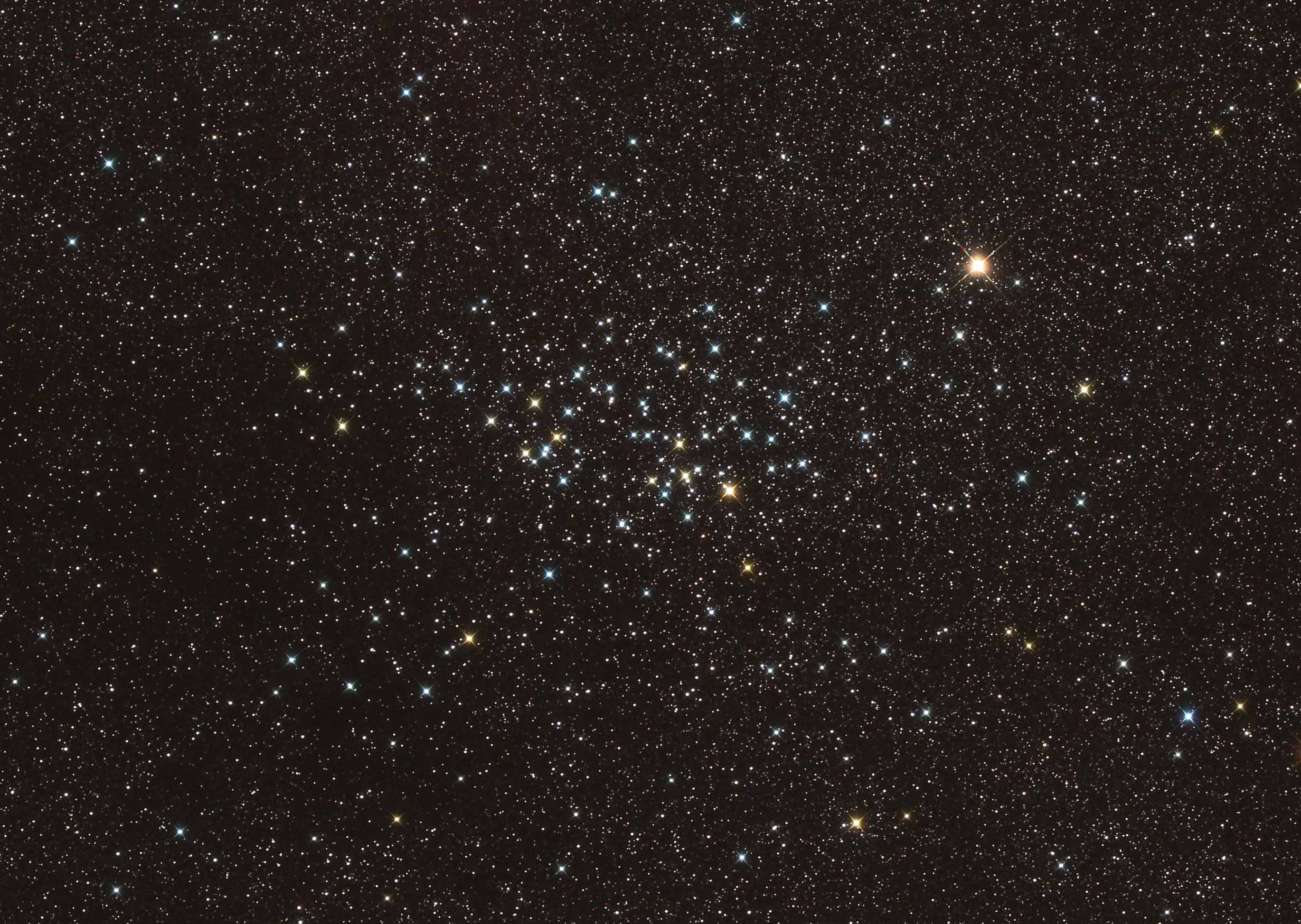 NGC 3532 - Photo de Jean-Marie Bolle