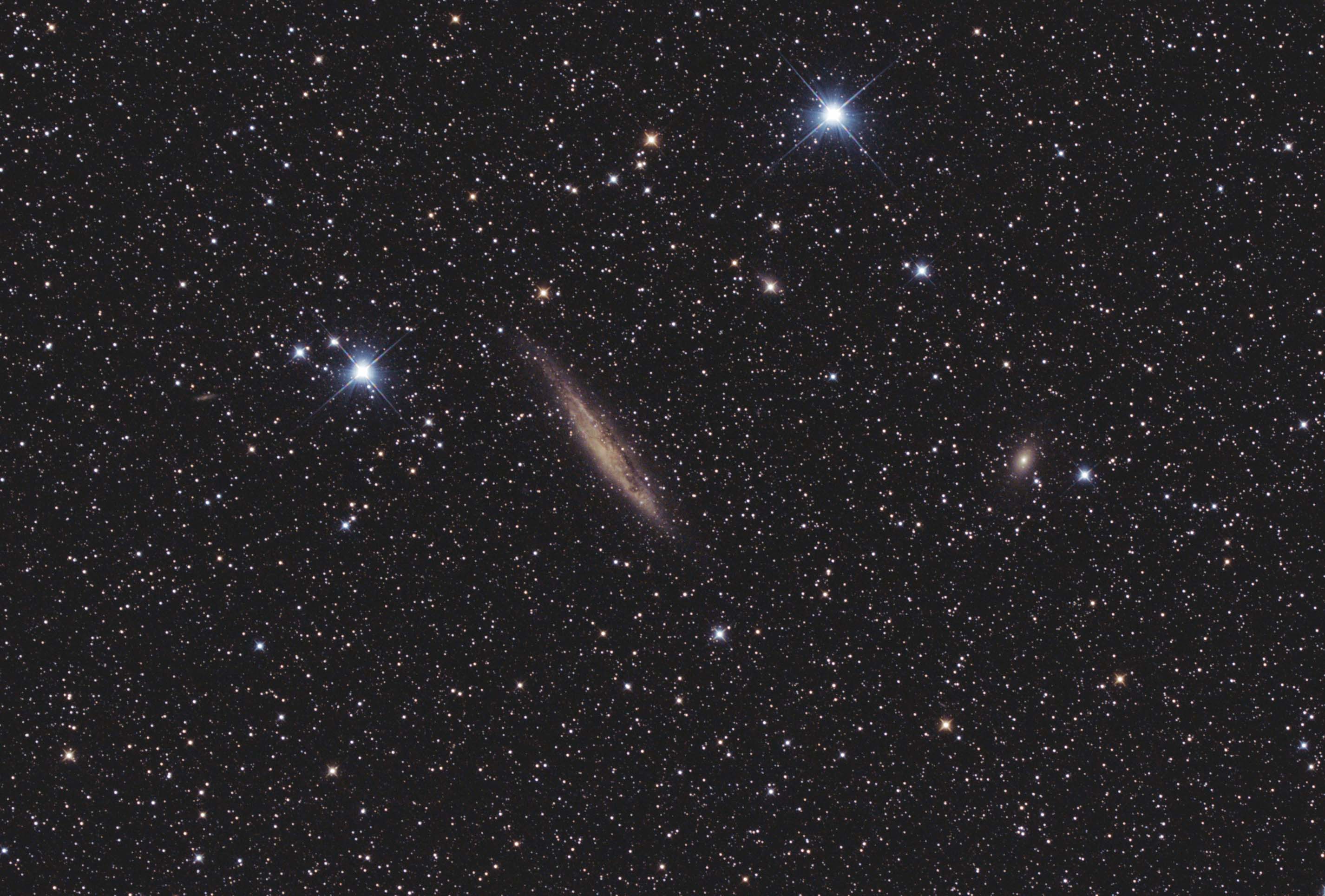 NGC 4945 - Photo de Jean-Marie Bolle