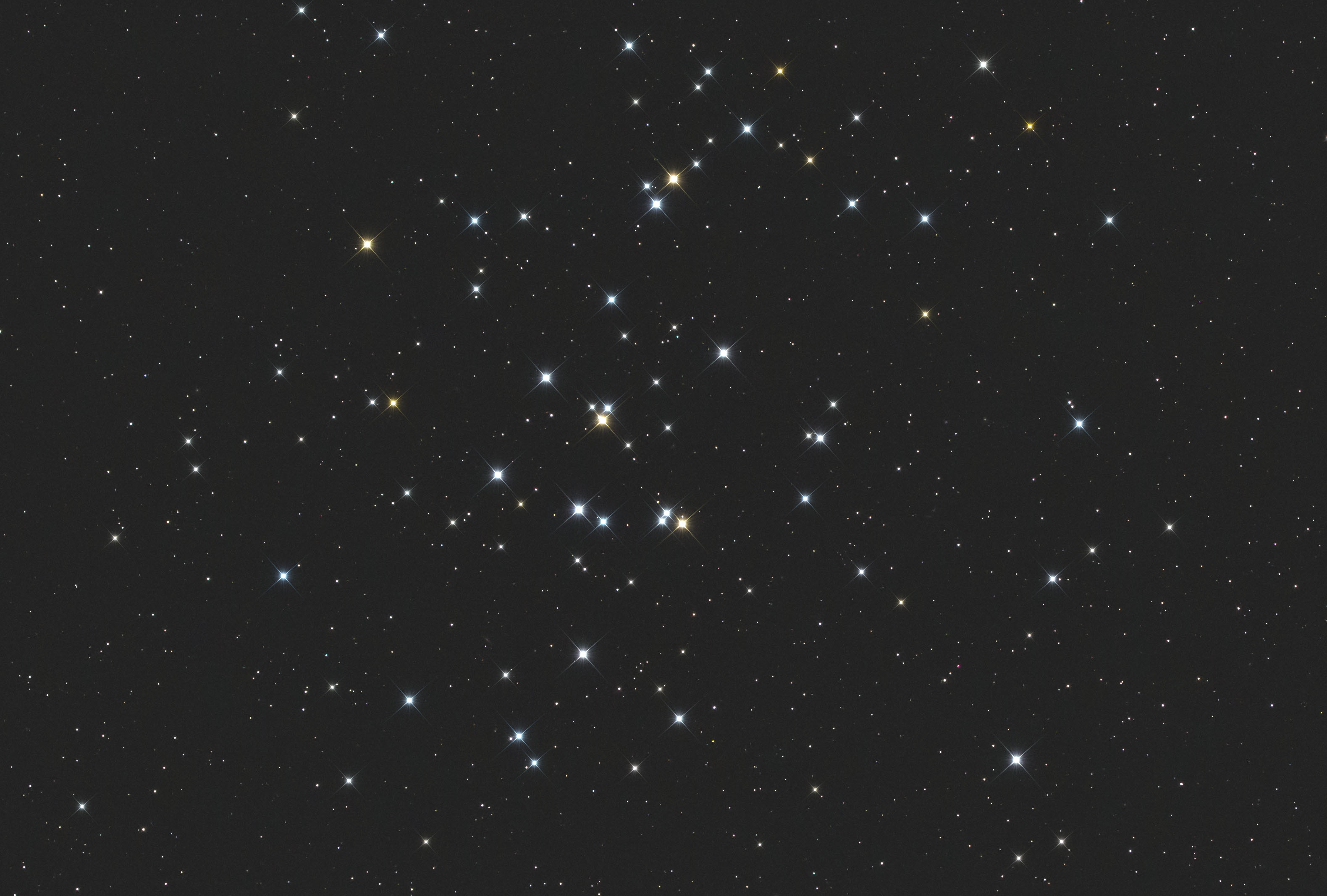 M 44 - Photo de Jean-Marie Bolle
