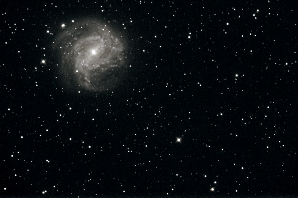 M83 - Photo de Patrice Giordan