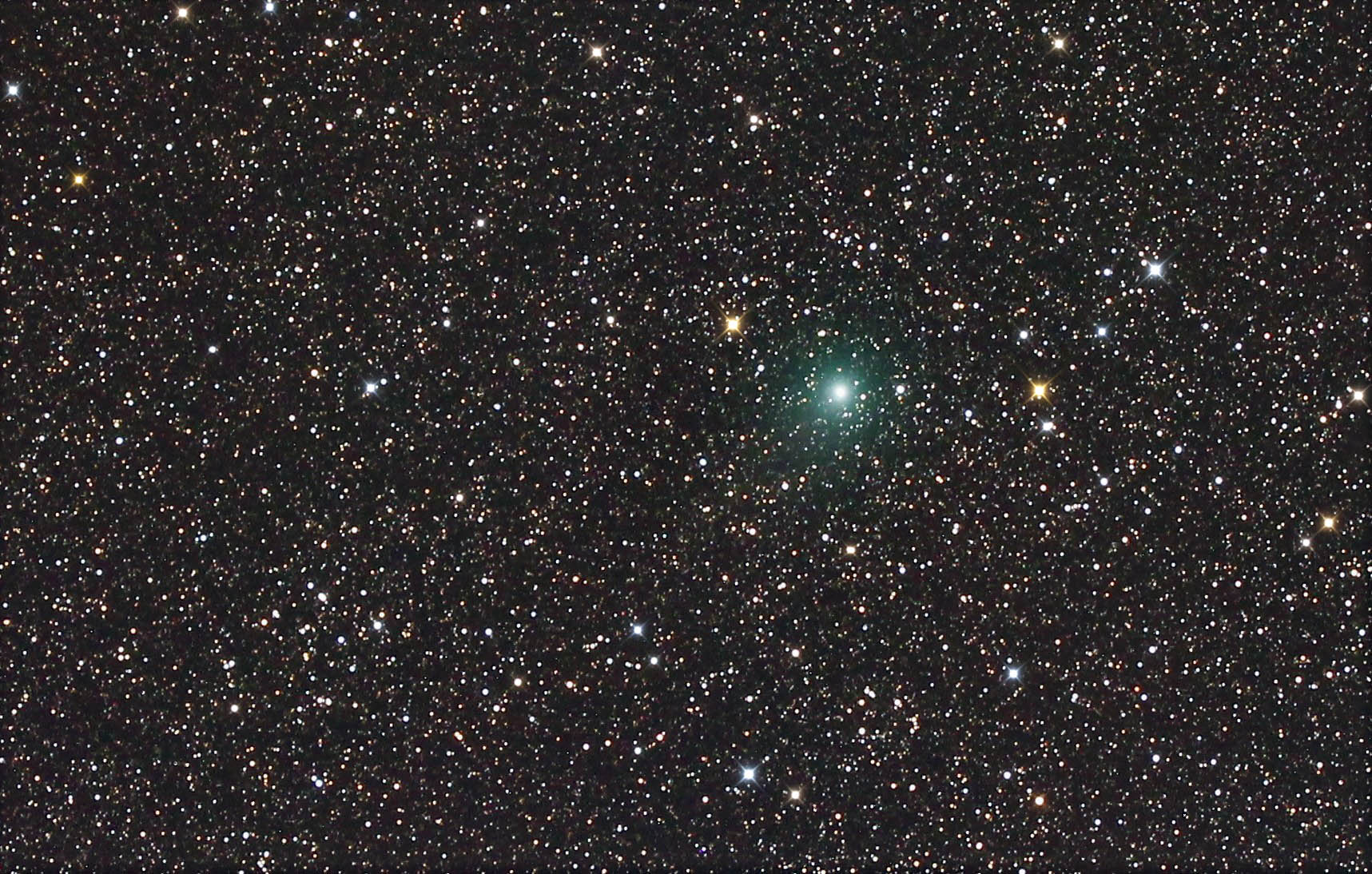 Comète C/2016 M1 - Photo de Jean-Marie Bolle