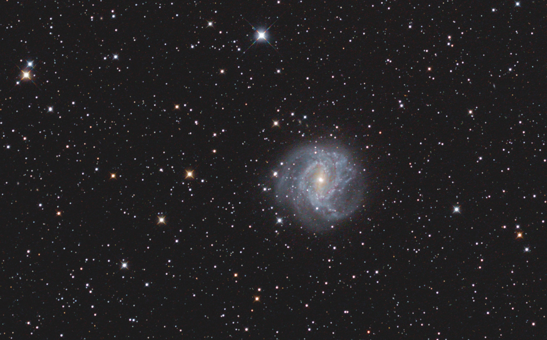 M83 - Photo de Jean-Marie Bolle