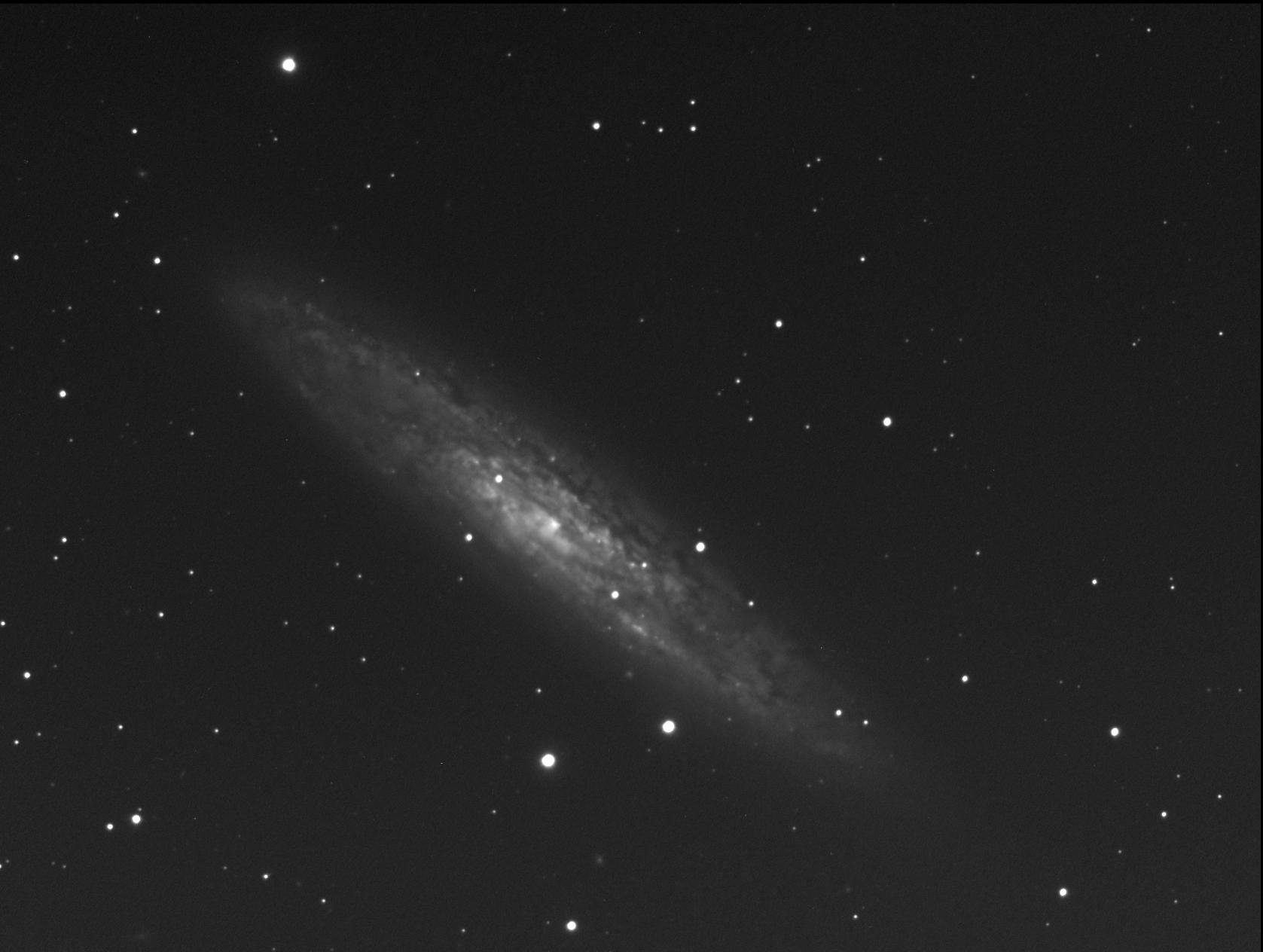 La Galaxie du Sculpteur - Photo de Bernard Mondon