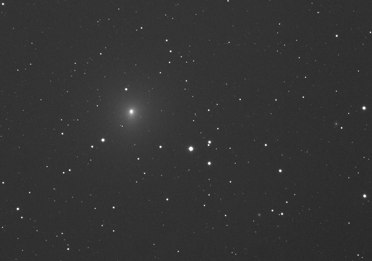 La comète 46P Wirtanen - Photo de Bernard Mondon