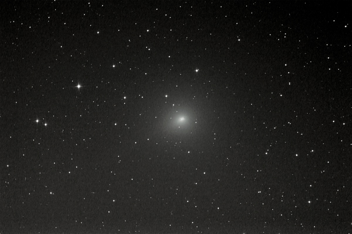 La comète 46P Wirtanen - Photo de Gérard Hesler
