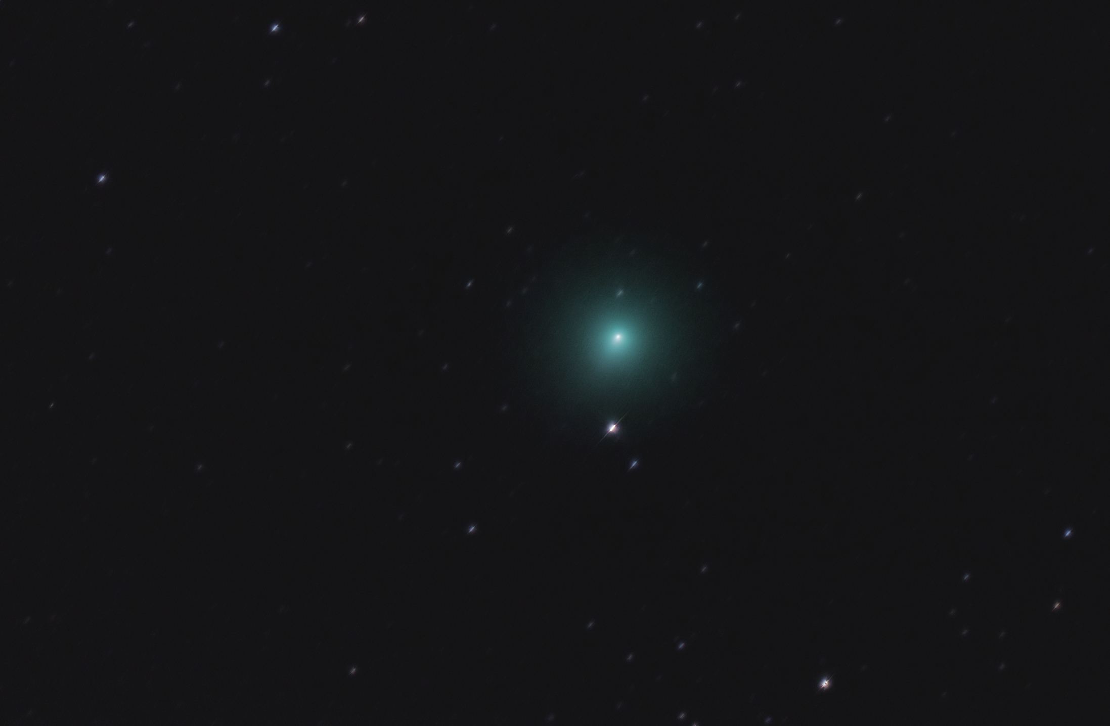La comète 46P Wirtanen - Photo de Jean-Marie Bolle