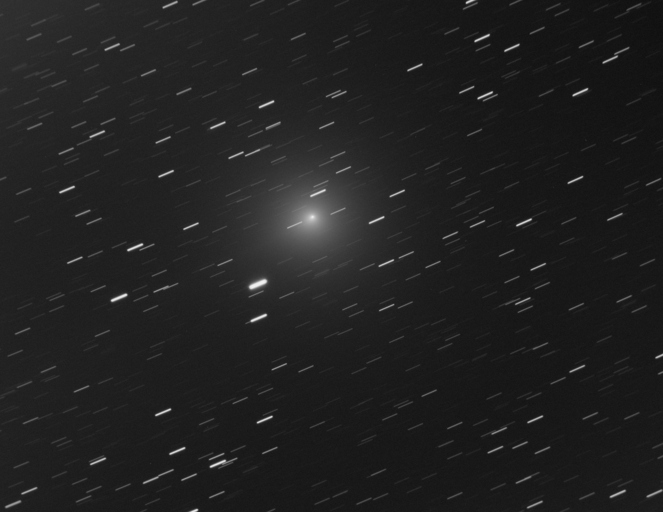 La comète 46P Wirtanen - Photo de Bernard Mondon