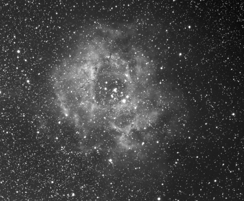 La nébuleuse NGC 2244 - Photo de Bernard Mondon