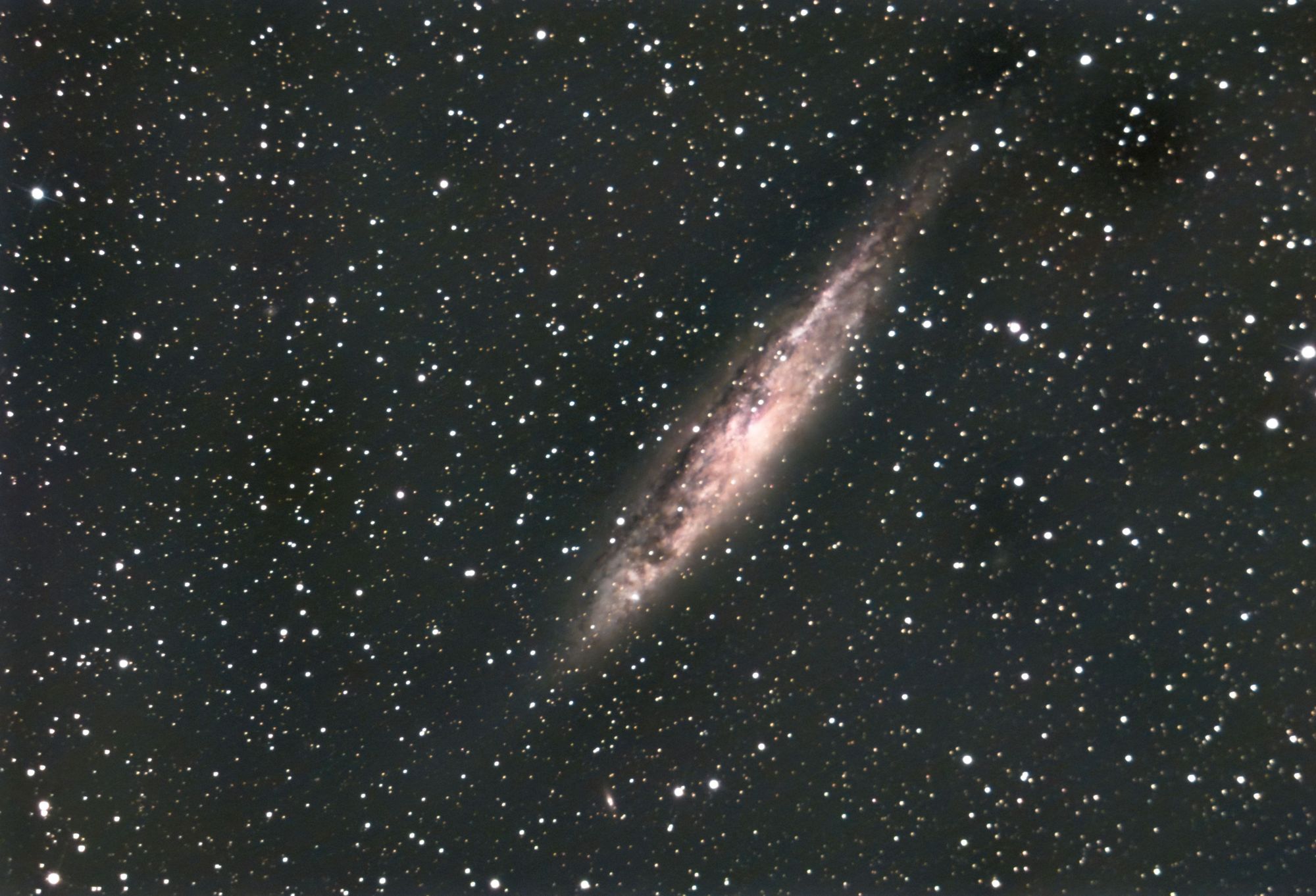 NGC4945 - Photo de Bernard Mondon